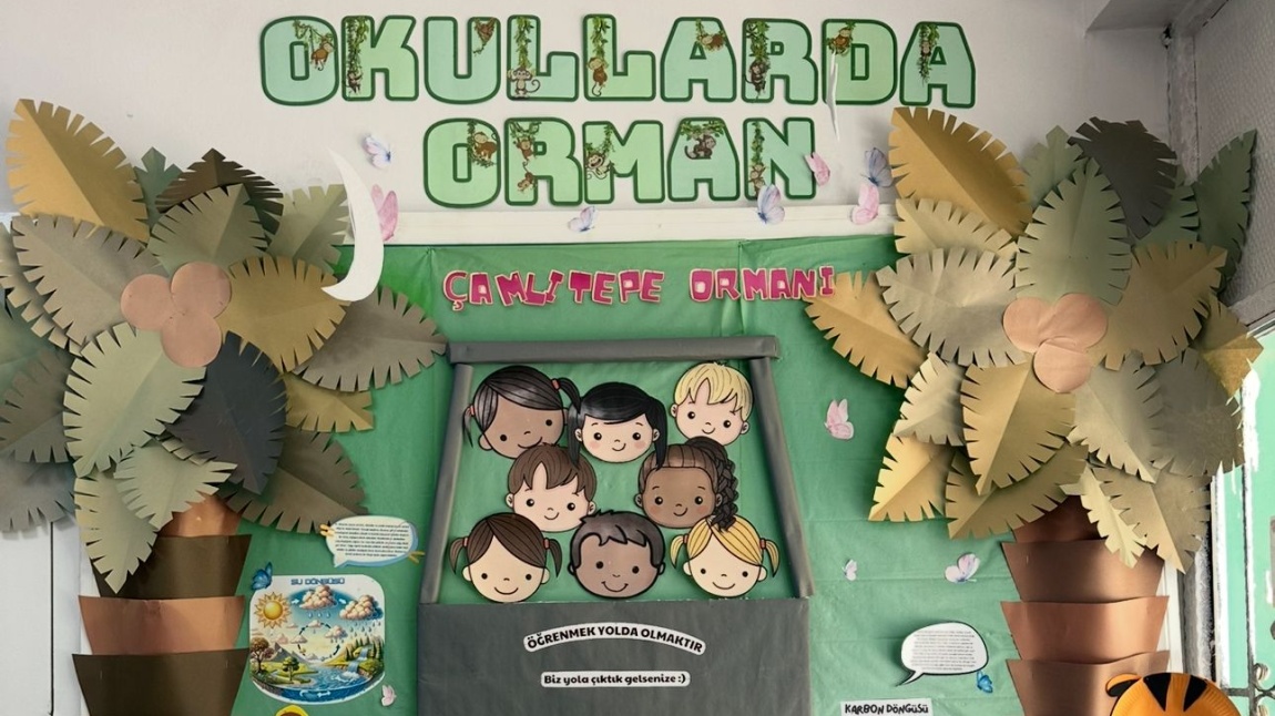 Okulumuz Okullarda Orman Programı ile Doğaya Kapılarını Açtı